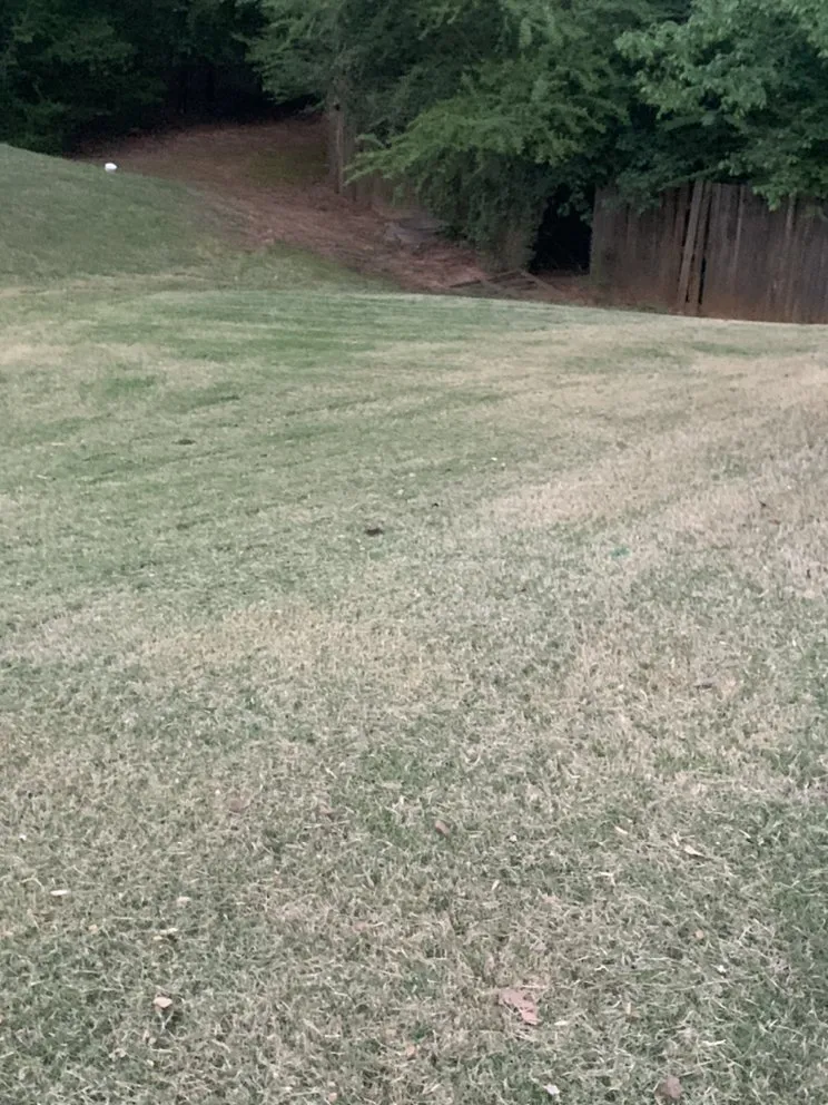 Affordable residential landscaping for residential properties in Jonesboro, GA by Dee’s Quality Landscaping