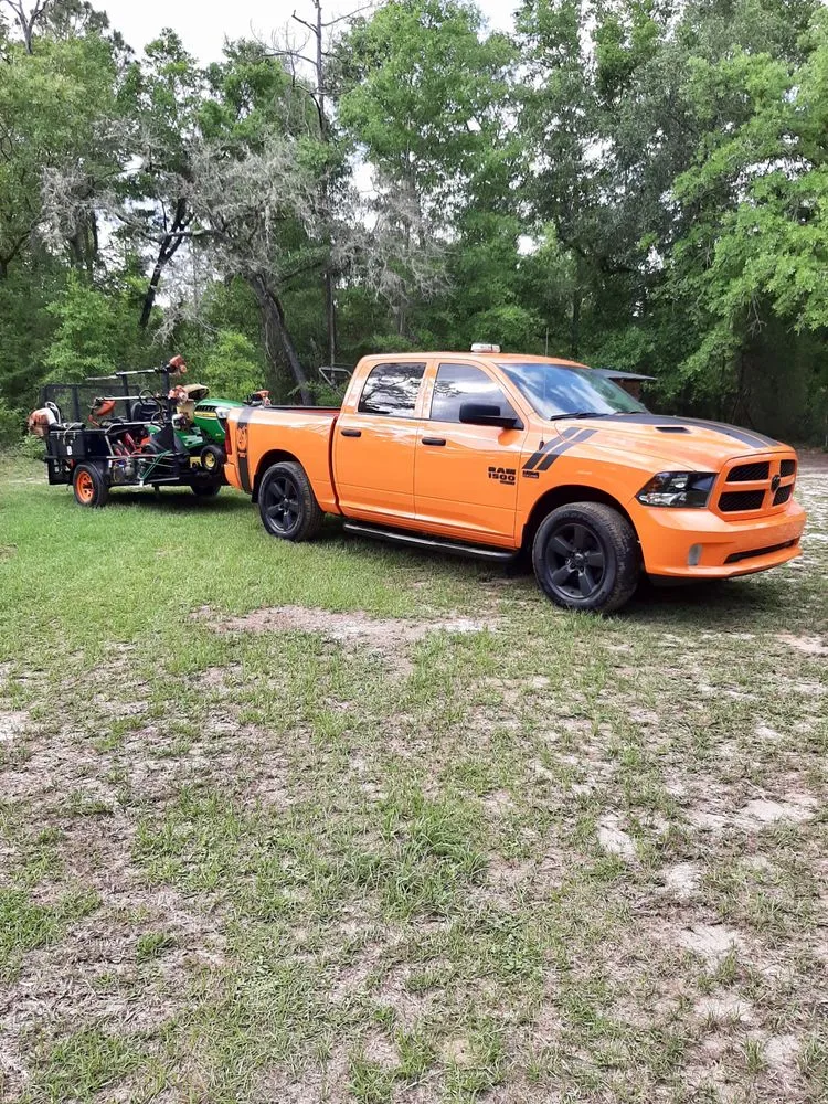 Professional landscape installation in Tallahassee, FL by Deescape