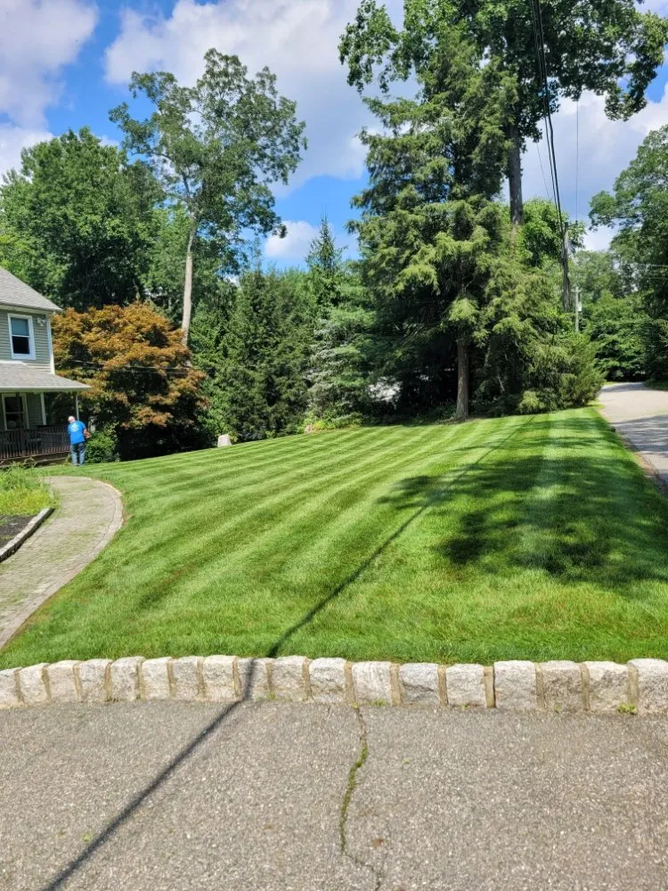 Local yard maintenance in Ellendale, DE - Deesign Landscape
