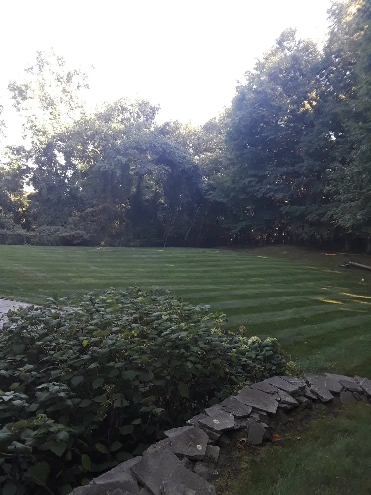 Affordable lawn care service experts serving Ellendale, DE - Deesign Landscape