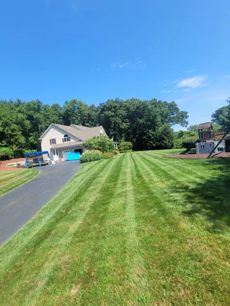 Affordable yard maintenance experts serving Ellendale, DE - Deesign Landscape