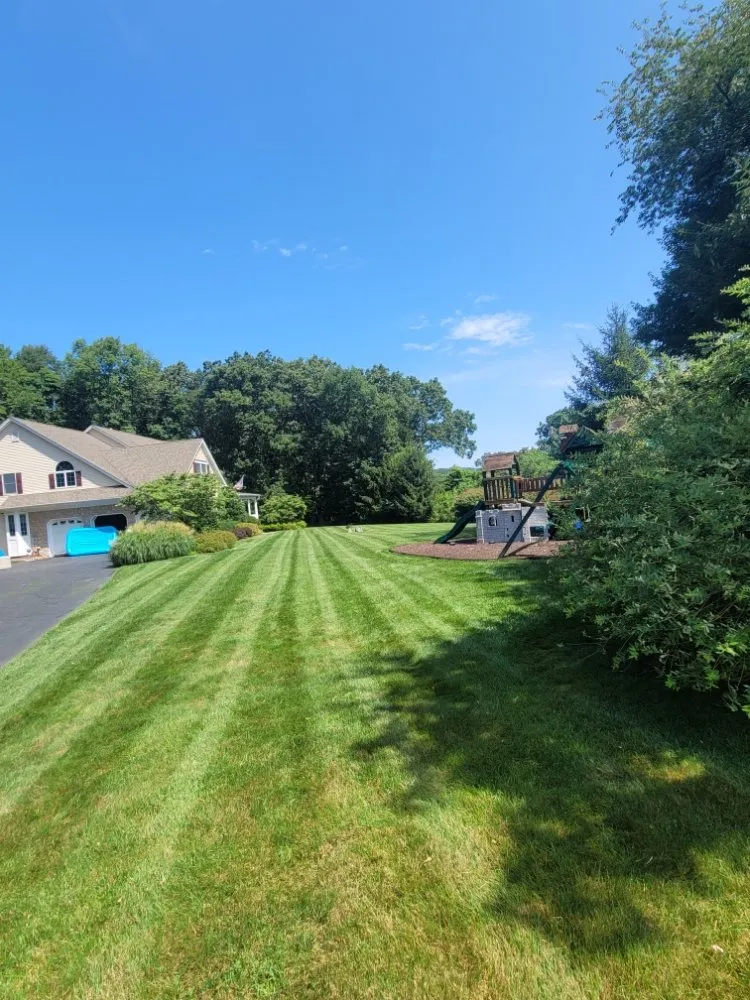 Local residential landscaping in Ellendale, DE - Deesign Landscape