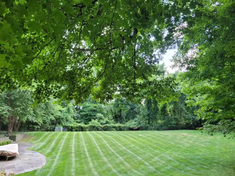 Affordable residential landscaping for year-round maintenance across Ellendale, DE - Deesign Landscape