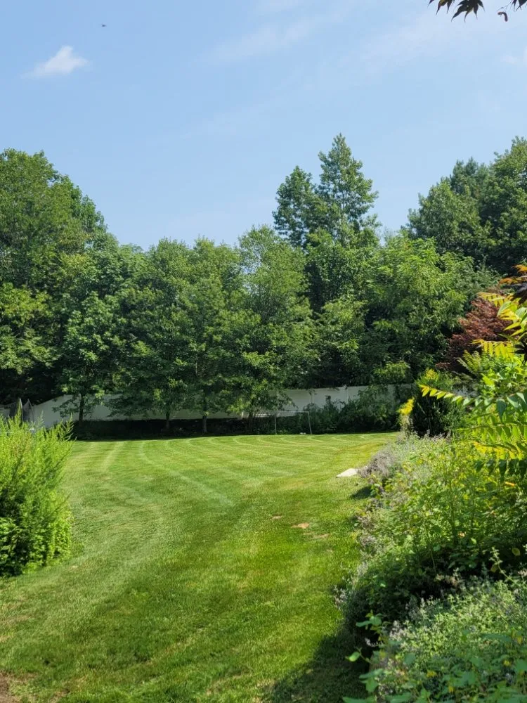 Reliable lawn care service near you in Ellendale, DE by Deesign Landscape