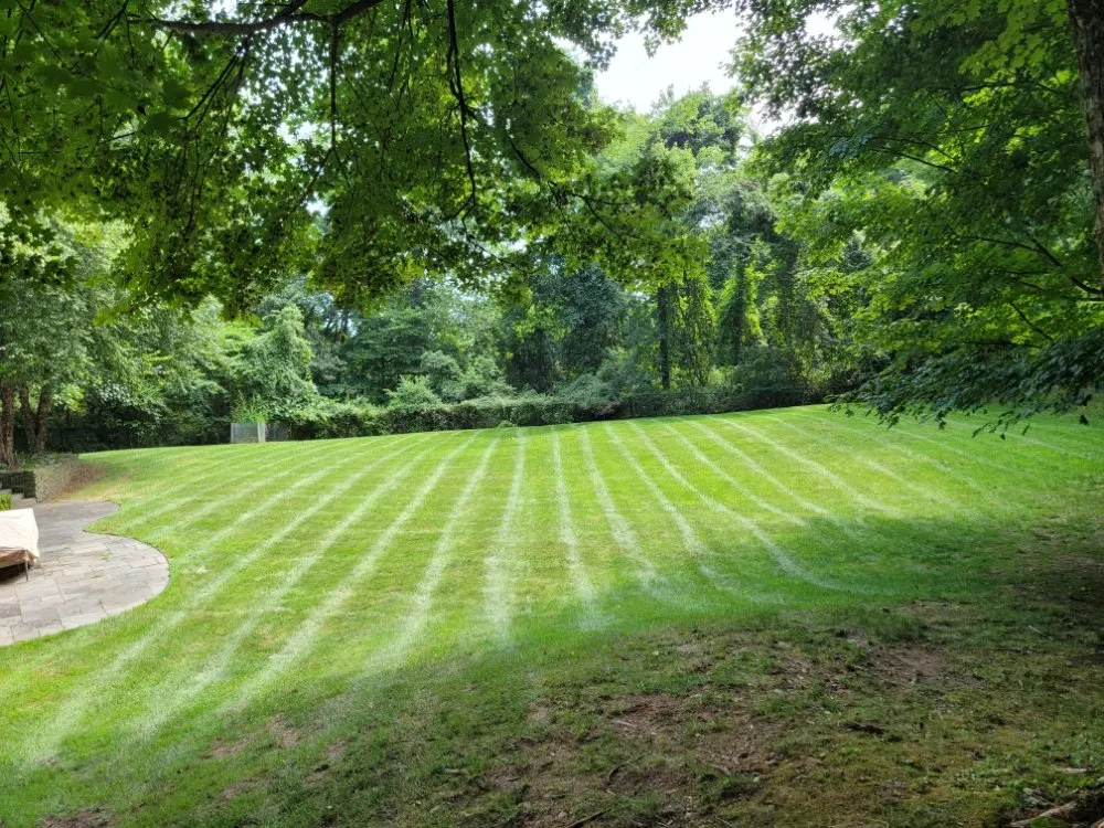 Affordable outdoor landscaping in Ellendale, DE - Deesign Landscape