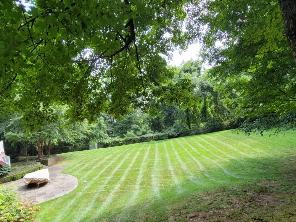 Trusted residential landscaping in Ellendale, DE by Deesign Landscape