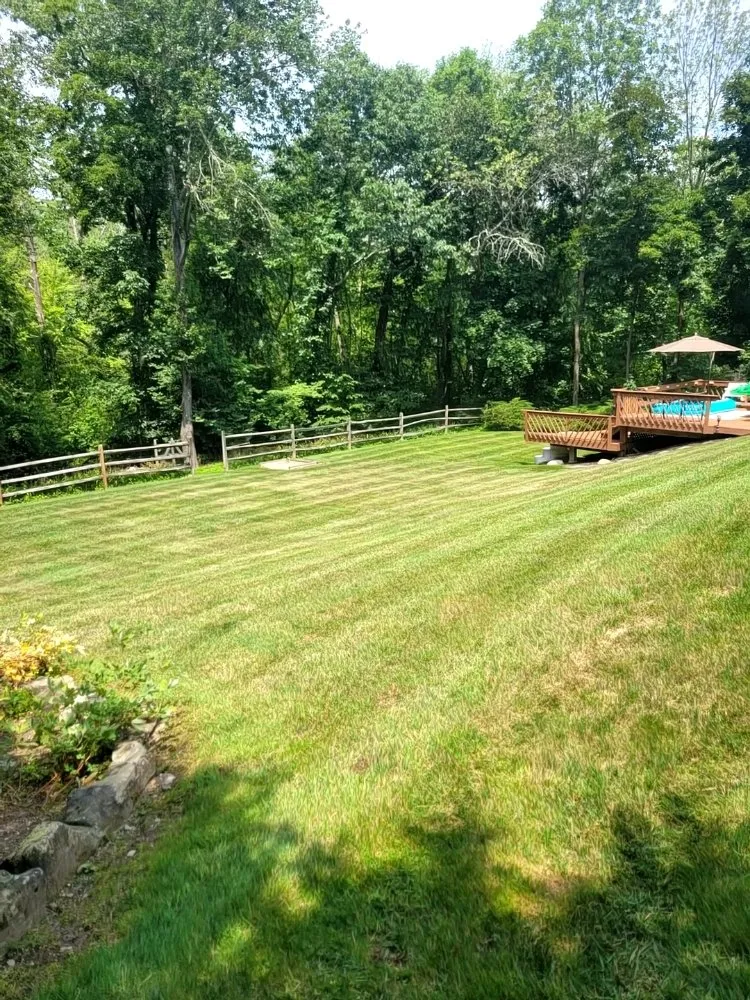 Custom lawn care service in Ellendale, DE - Deesign Landscape
