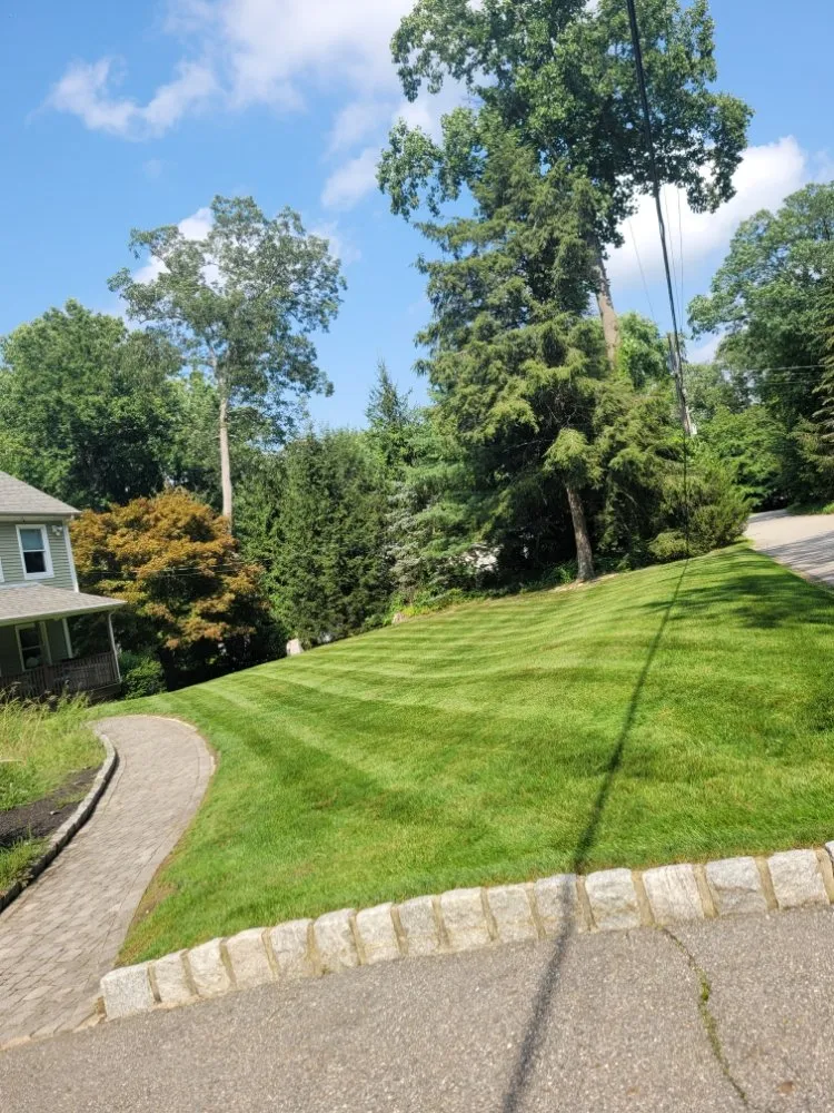 Professional yard maintenance experts serving Ellendale, DE - Deesign Landscape
