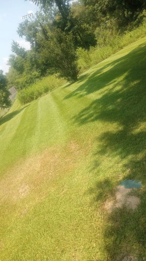 Custom landscaping services experts serving Luverne, AL - Defee Lawn Service