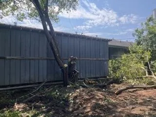 Affordable landscaping services experts serving Luverne, AL - Defee Lawn Service