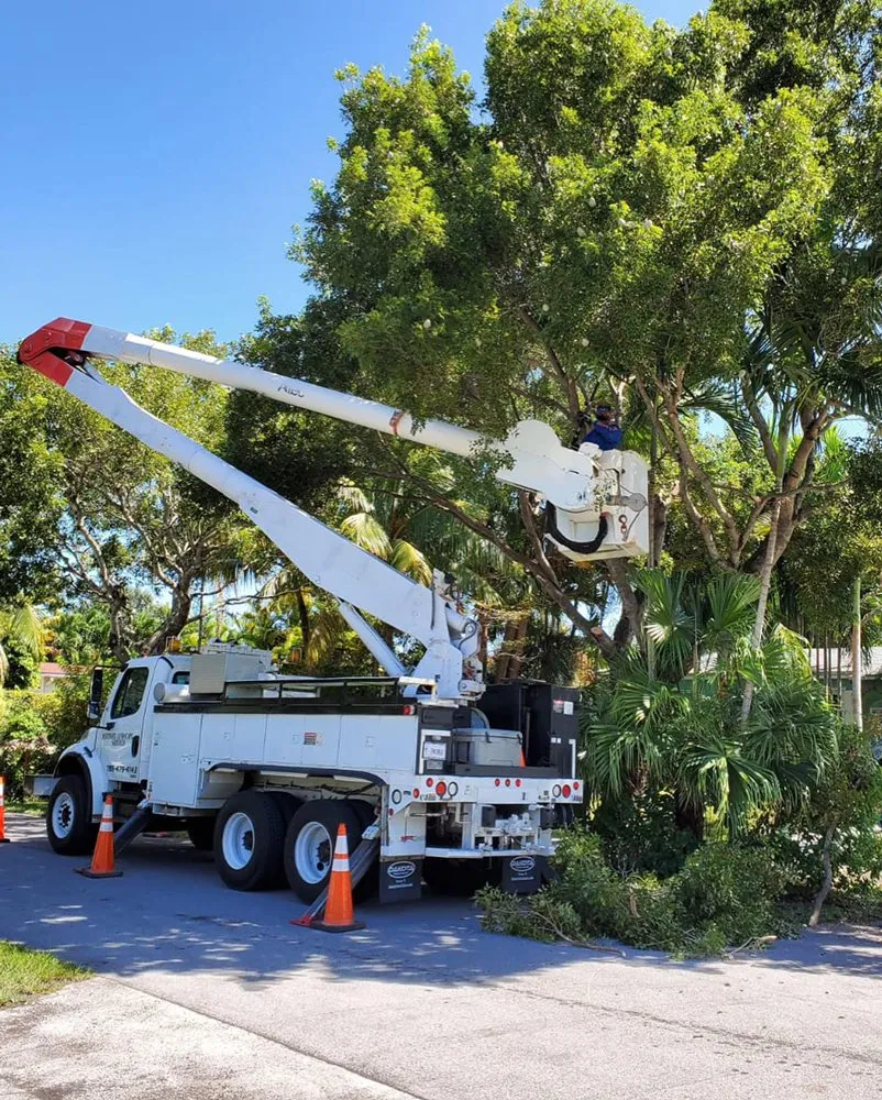 Custom landscaping services for year-round maintenance in Homestead, FL by Defender Landscape Services
