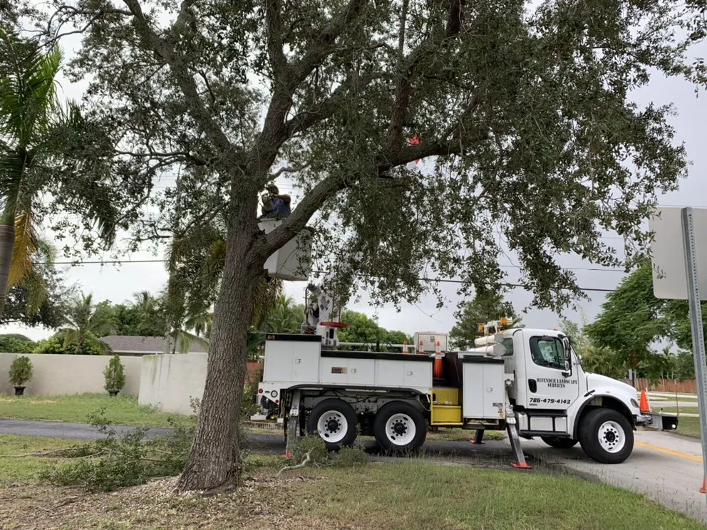 Custom lawn mowing service for beautiful yards across Homestead, FL - Defender Landscape Services