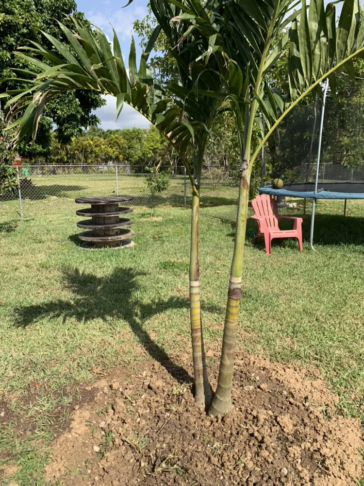 Top-rated landscape installation experts serving Homestead, FL - Defender Landscape Services