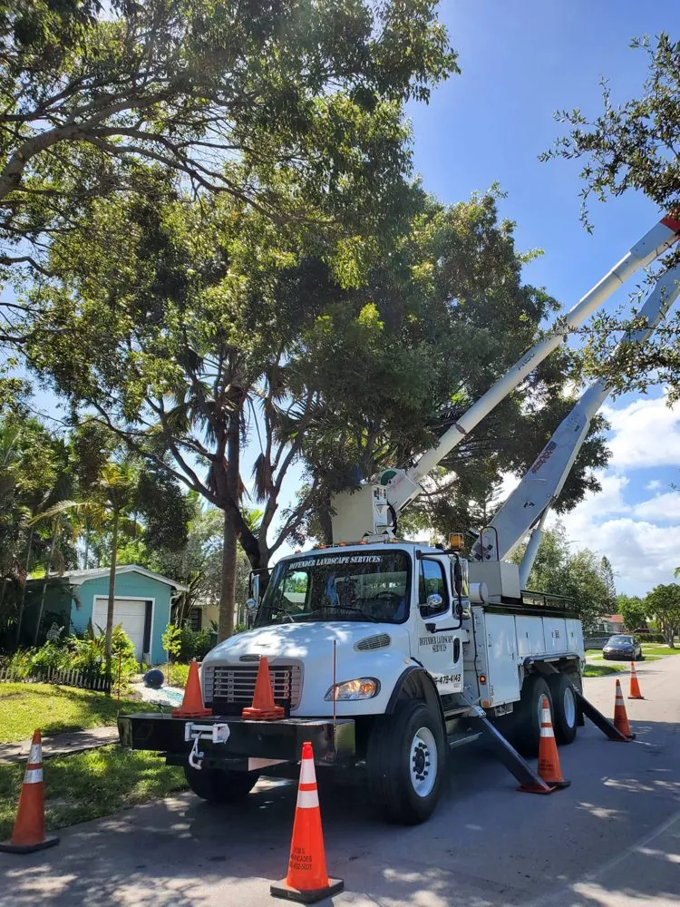 Professional yard cleanup service for year-round maintenance across Homestead, FL - Defender Landscape Services