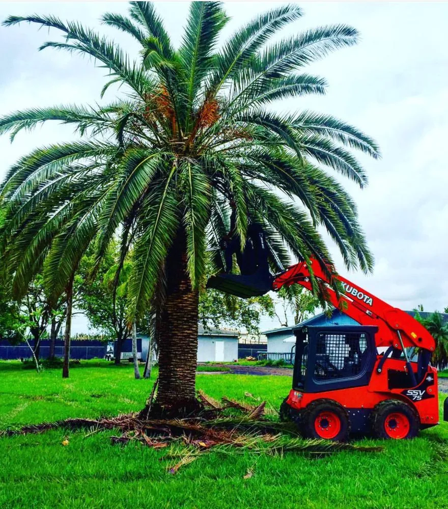 Professional landscape installation in Homestead, FL by Defender Landscape Services