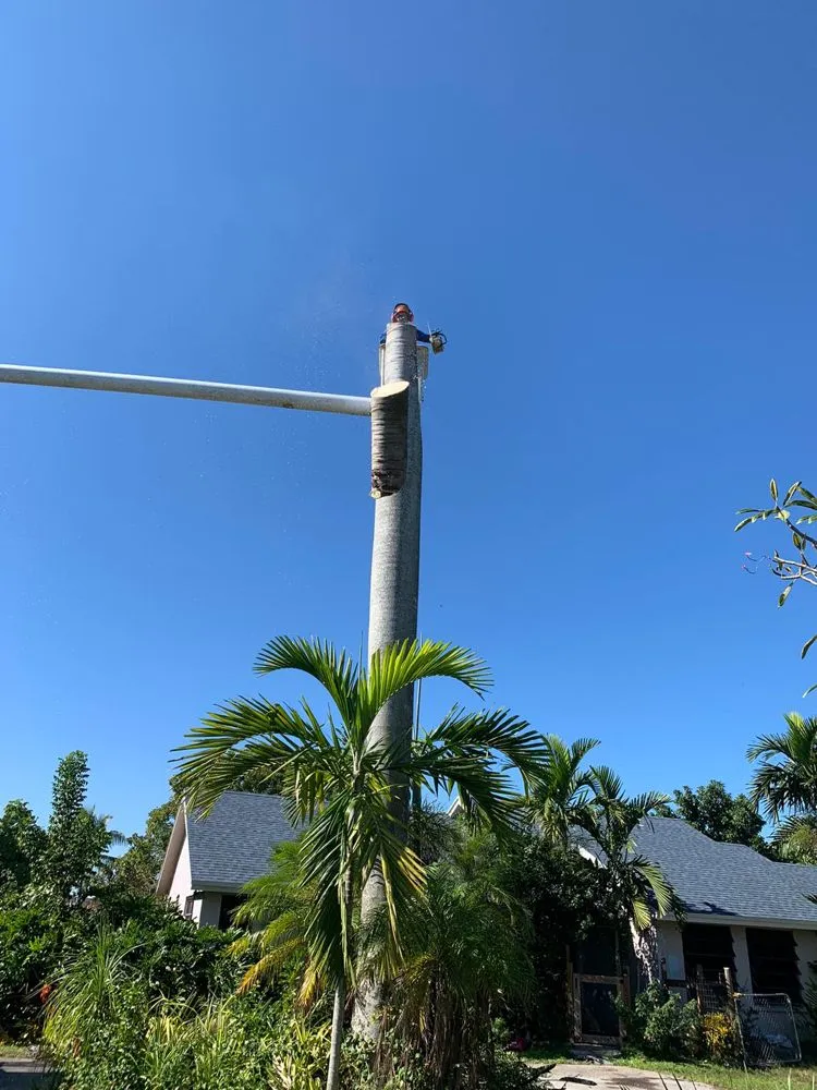 Top-rated landscape design for year-round maintenance in Homestead, FL by Defender Landscape Services