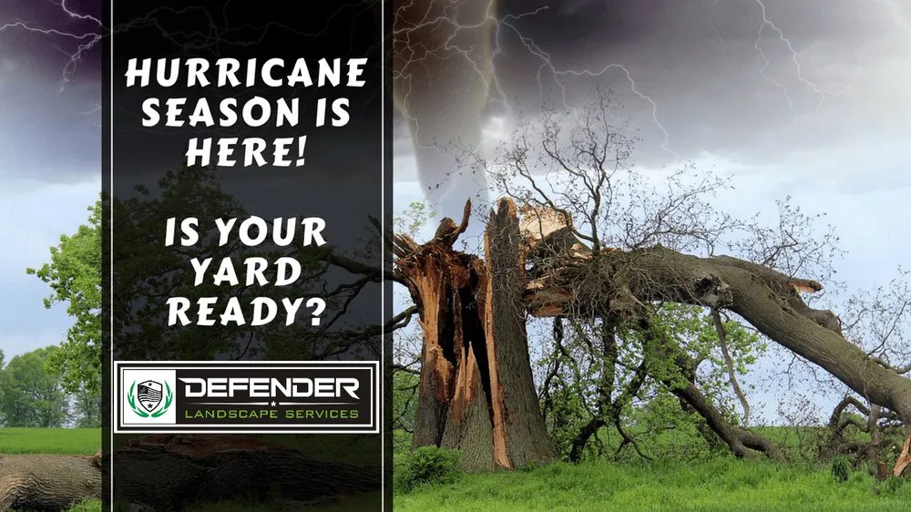 Professional landscape design in Homestead, FL - Defender Landscape Services