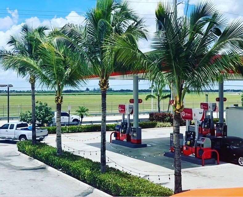 Reliable yard maintenance for outdoor upgrades in Homestead, FL by Defender Landscape Services