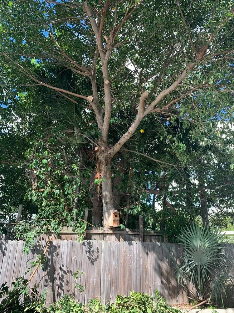 Affordable lawn mowing service for residential properties in Homestead, FL by Defender Landscape Services