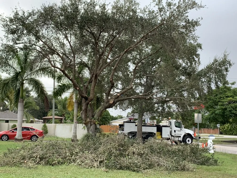 Professional landscape design in Homestead, FL by Defender Landscape Services