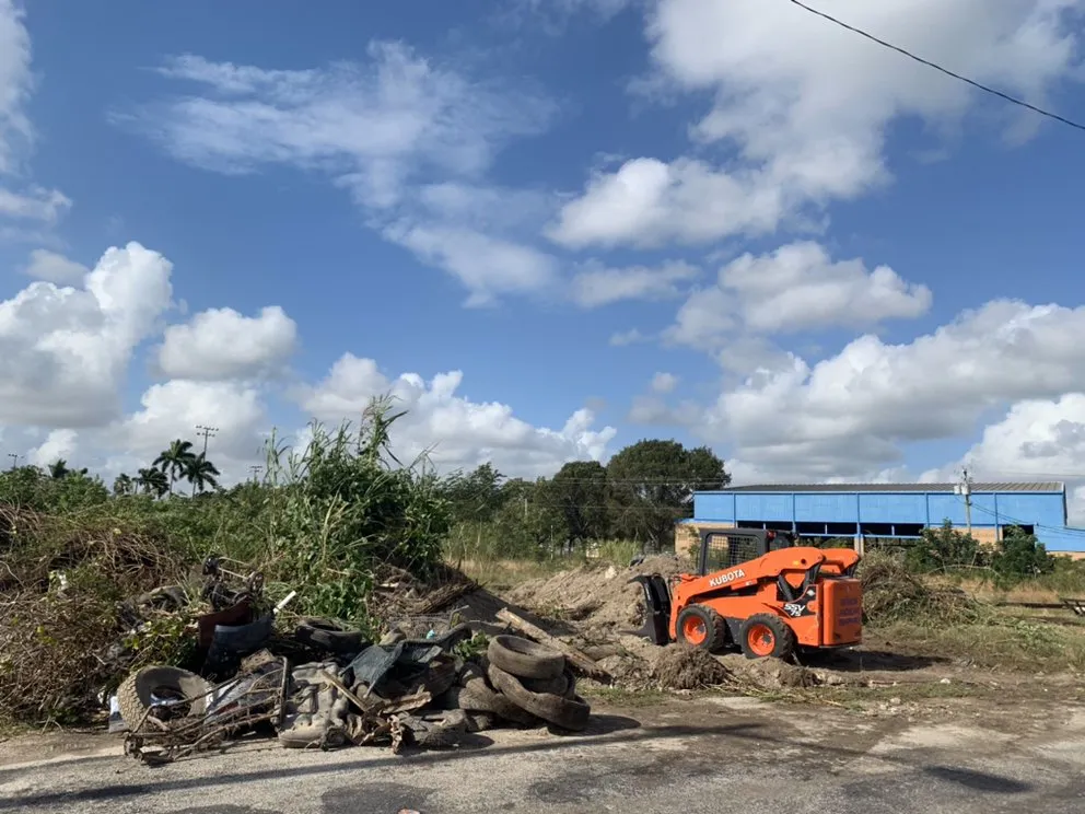 Top-rated garden landscaping experts serving Homestead, FL - Defender Landscape Services