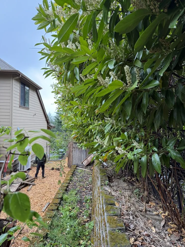 Reliable landscaping services experts serving Belfair, WA - Defender Landscaping