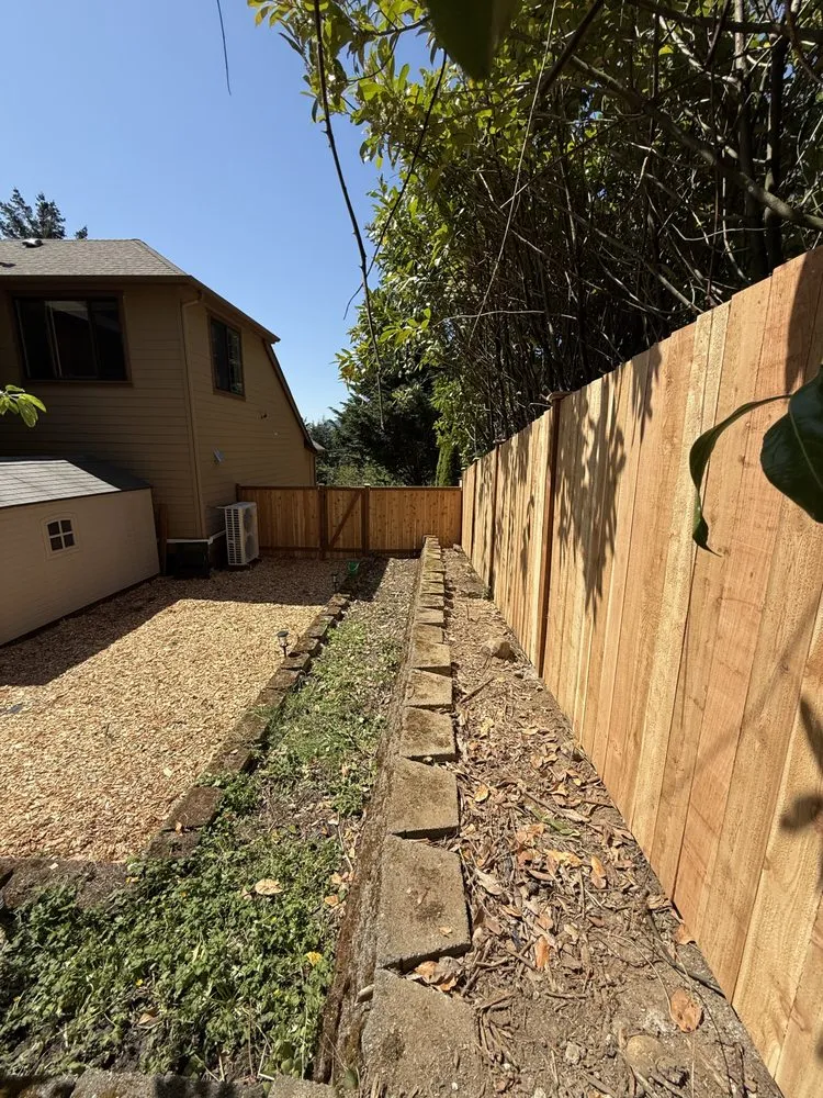 Local landscaping services experts serving Belfair, WA - Defender Landscaping