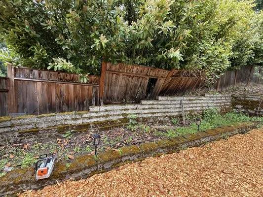 Defender Landscaping Logo