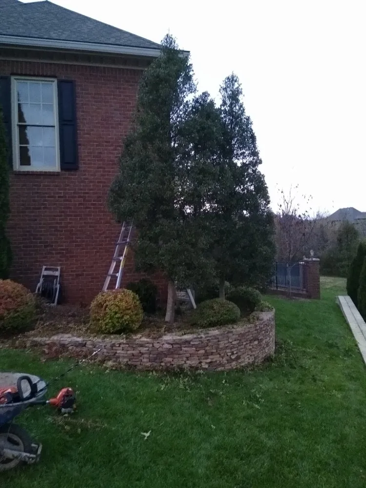 Reliable lawn care service experts serving Spring Hill, TN - Defender Lawn Care