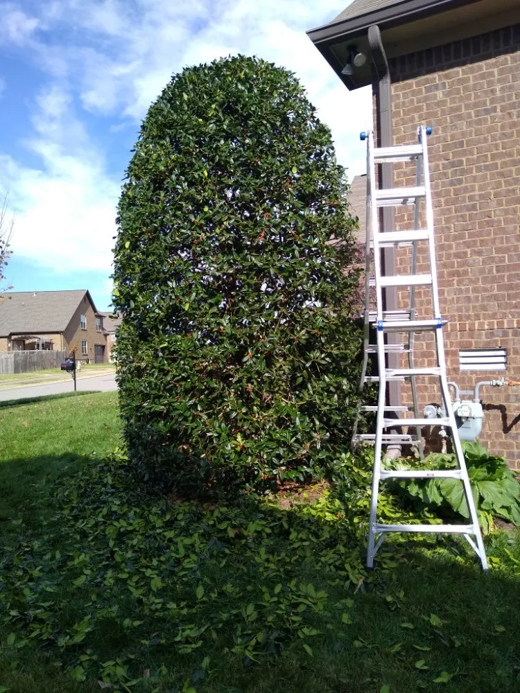 Professional lawn care service in Spring Hill, TN - Defender Lawn Care