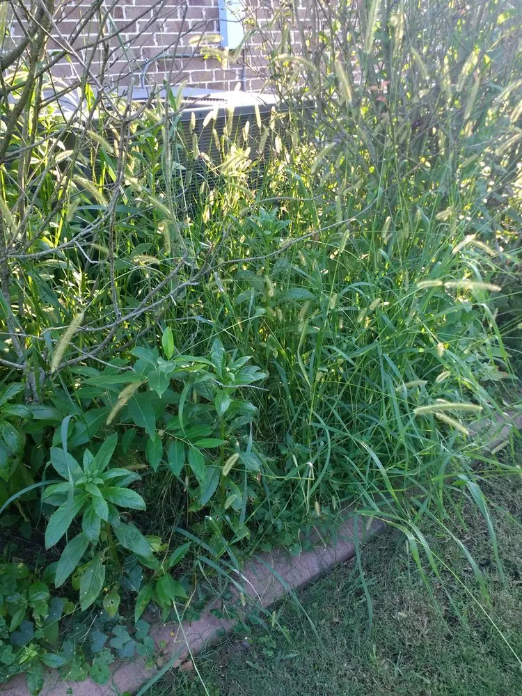 Expert lawn mowing service for outdoor upgrades in Spring Hill, TN by Defender Lawn Care