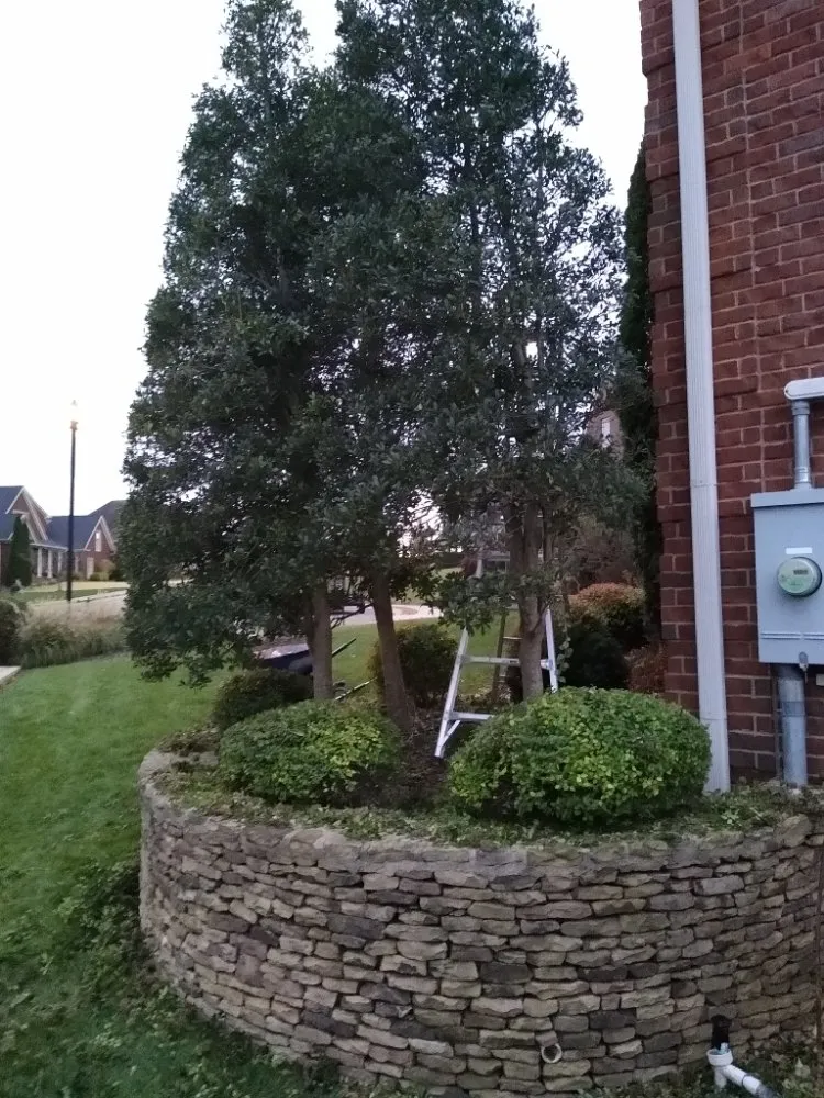 Custom yard cleanup service experts serving Spring Hill, TN - Defender Lawn Care