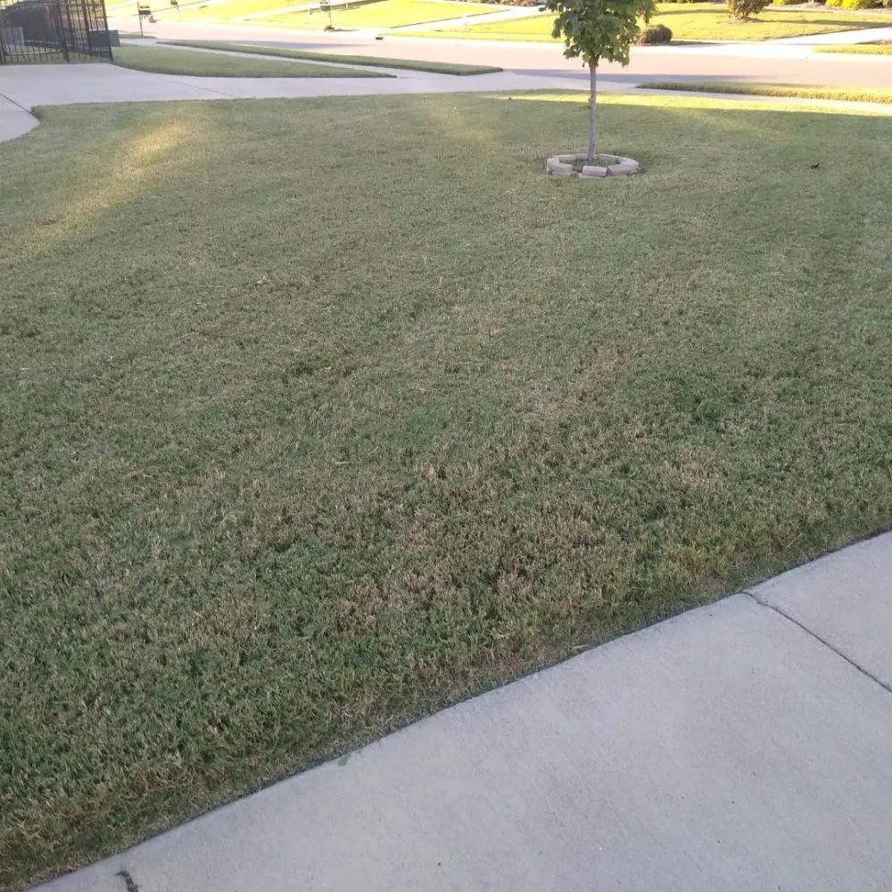 Reliable landscaping services experts serving Spring Hill, TN - Defender Lawn Care