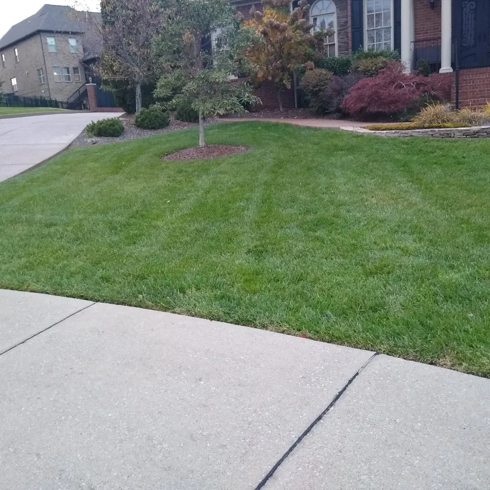 Reliable residential landscaping in Spring Hill, TN - Defender Lawn Care