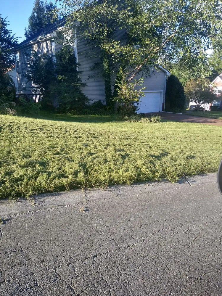 Local yard cleanup service for outdoor upgrades across Spring Hill, TN - Defender Lawn Care