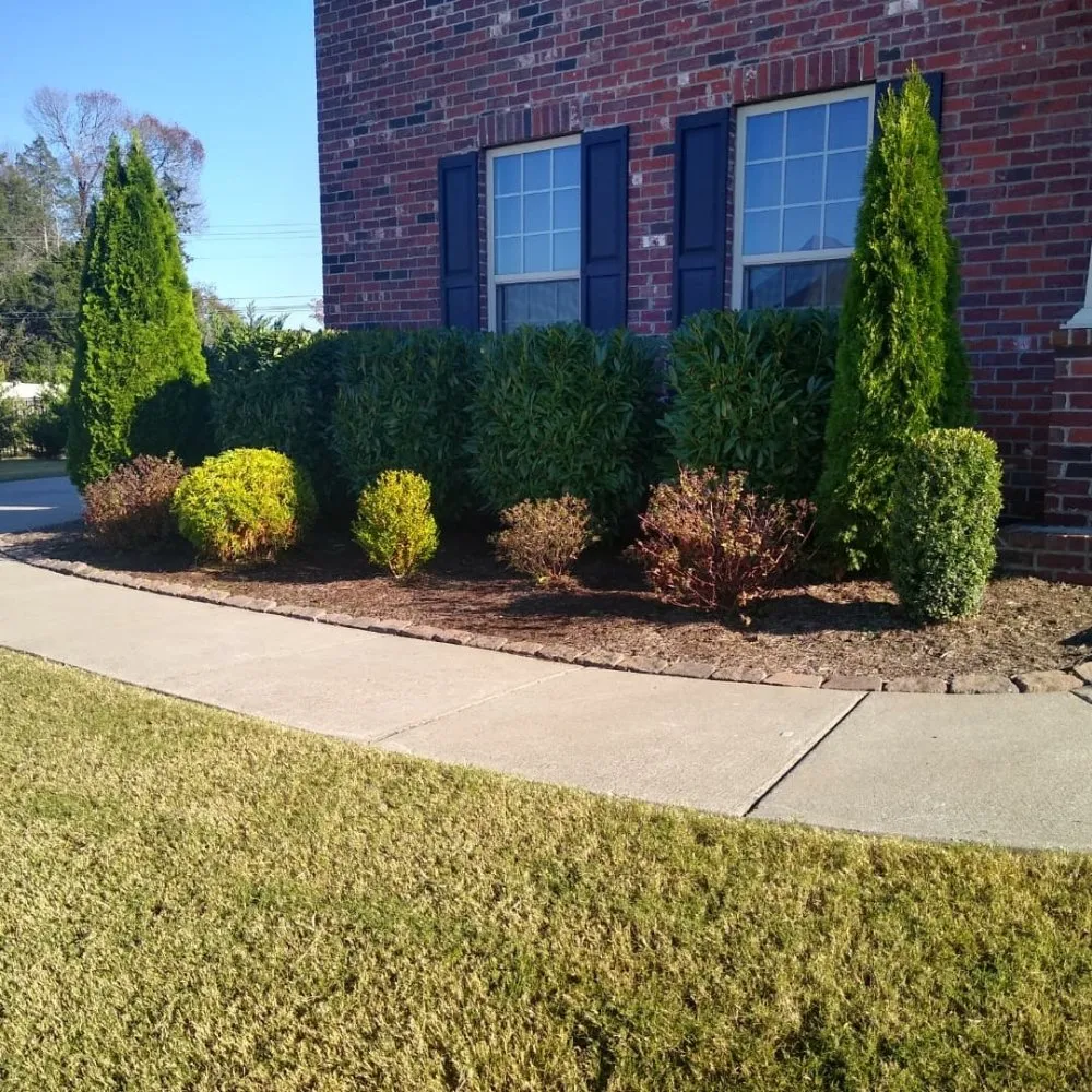 Affordable yard cleanup service in Spring Hill, TN by Defender Lawn Care