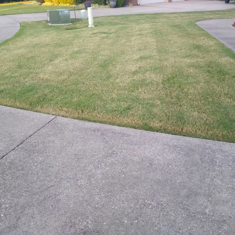 Expert garden landscaping for beautiful yards across Spring Hill, TN - Defender Lawn Care