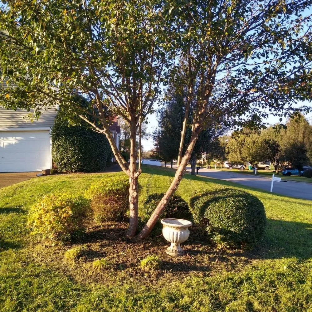 Local residential landscaping in Spring Hill, TN by Defender Lawn Care