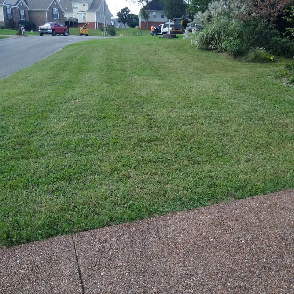Expert yard cleanup service experts serving Spring Hill, TN - Defender Lawn Care