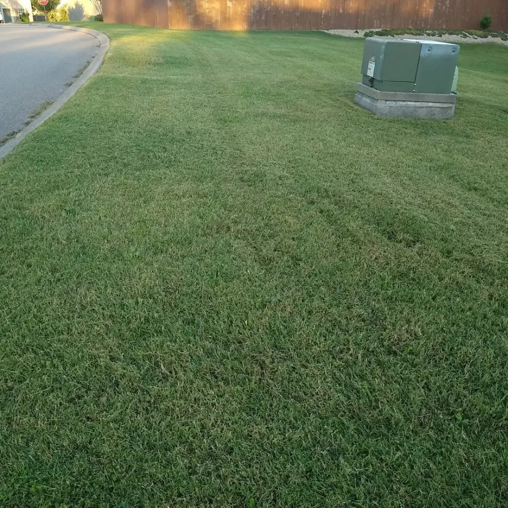 Affordable yard cleanup service experts serving Spring Hill, TN - Defender Lawn Care