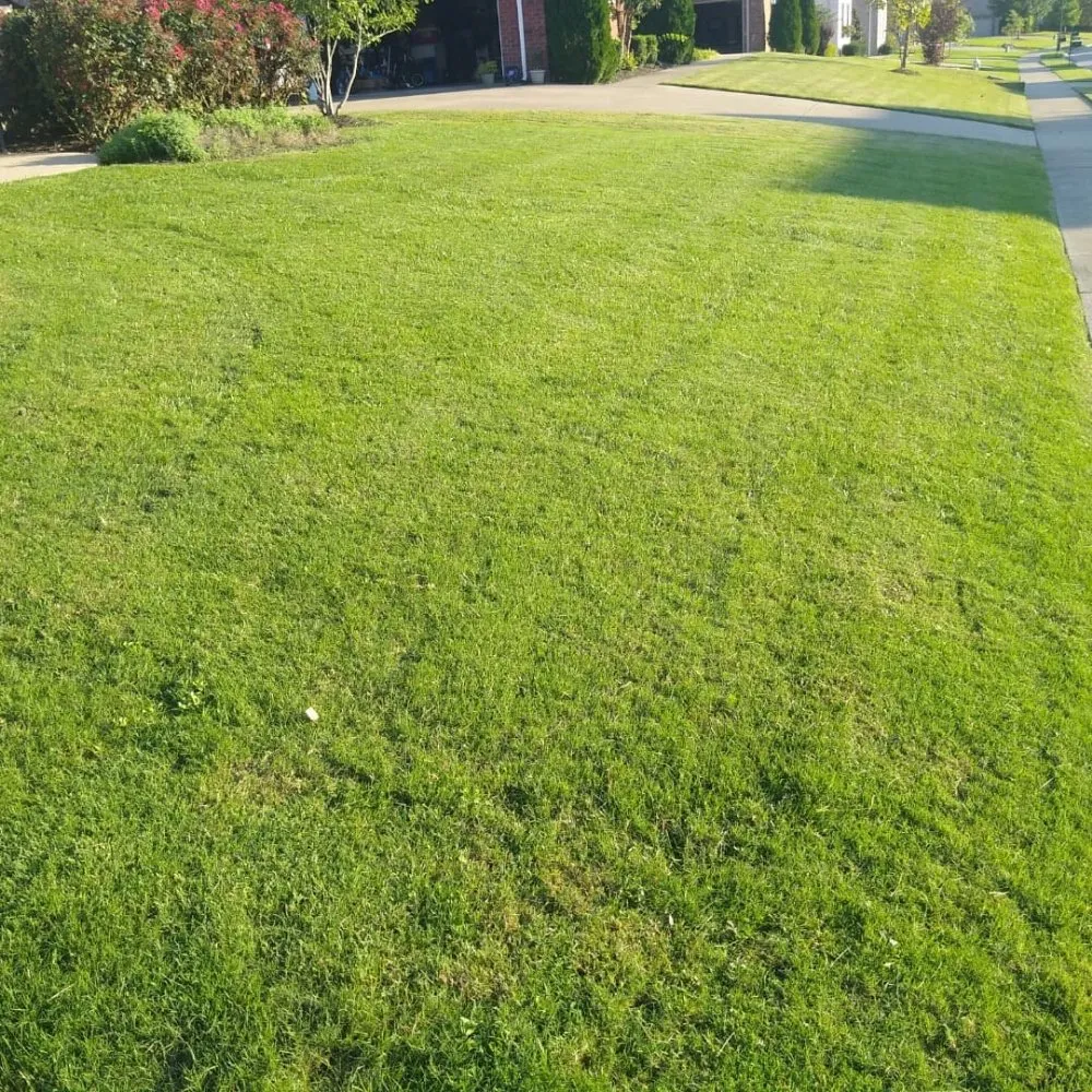 Custom lawn care service for beautiful yards across Spring Hill, TN - Defender Lawn Care