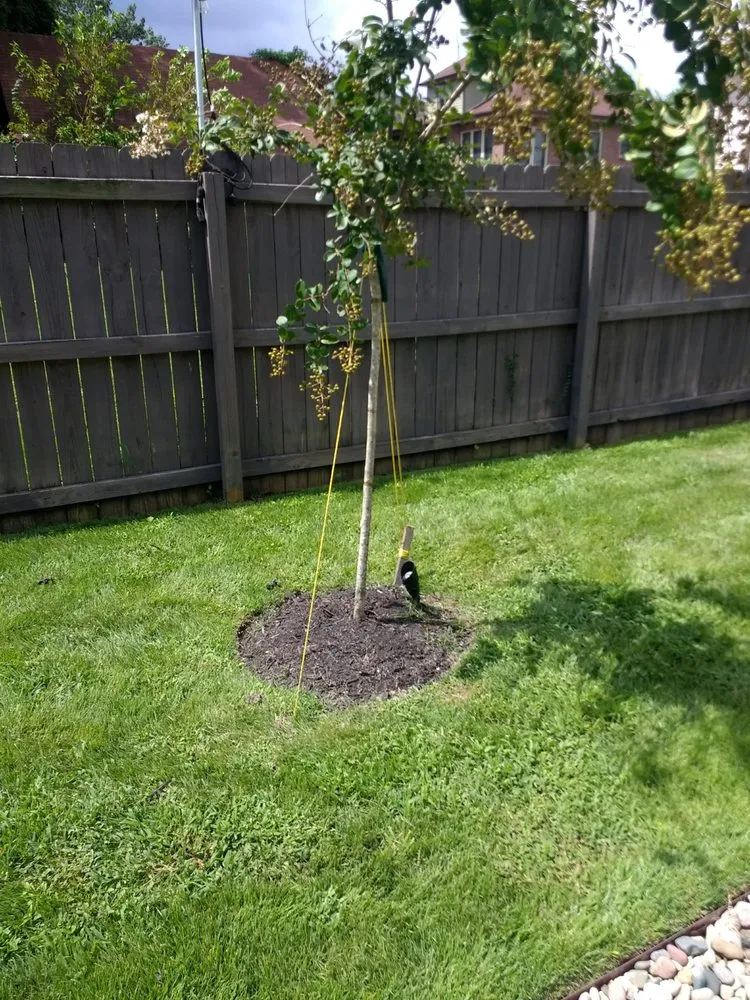 Local landscape installation for homes across Spring Hill, TN - Defender Lawn Care