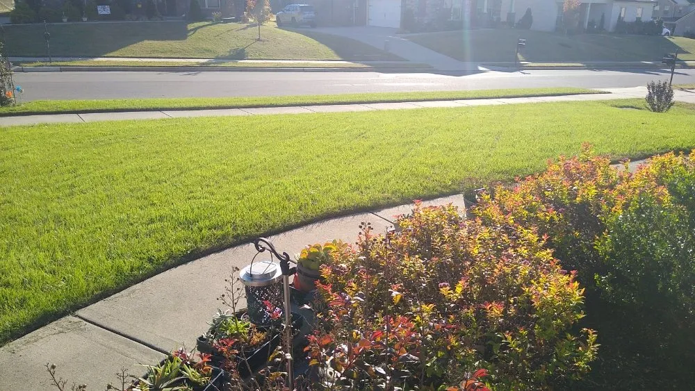 Reliable landscape installation for residential properties in Spring Hill, TN by Defender Lawn Care