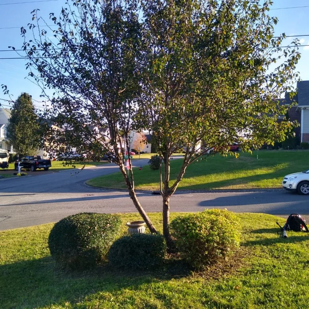 Custom lawn mowing service for outdoor upgrades in Spring Hill, TN by Defender Lawn Care