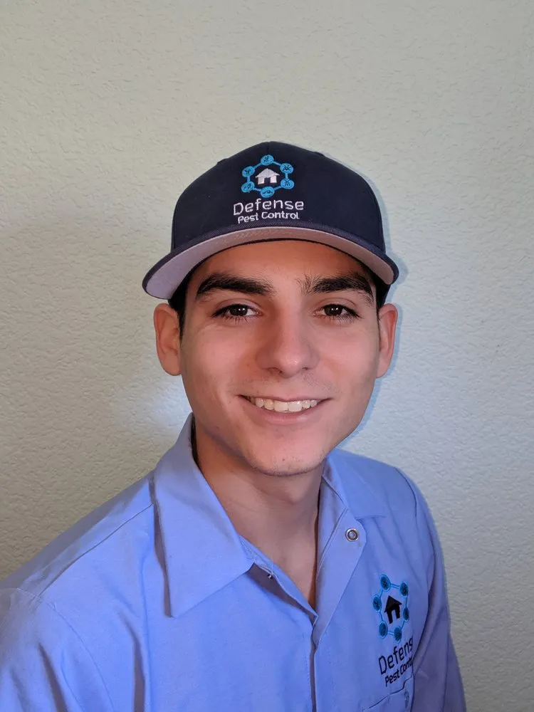 Professional landscaping services in Loomis, CA by Defense Pest Control