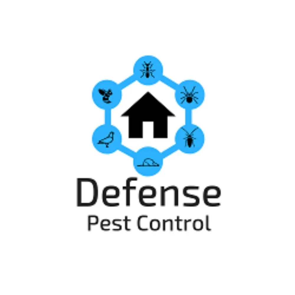 Expert lawn care service with custom design in Loomis, CA by Defense Pest Control