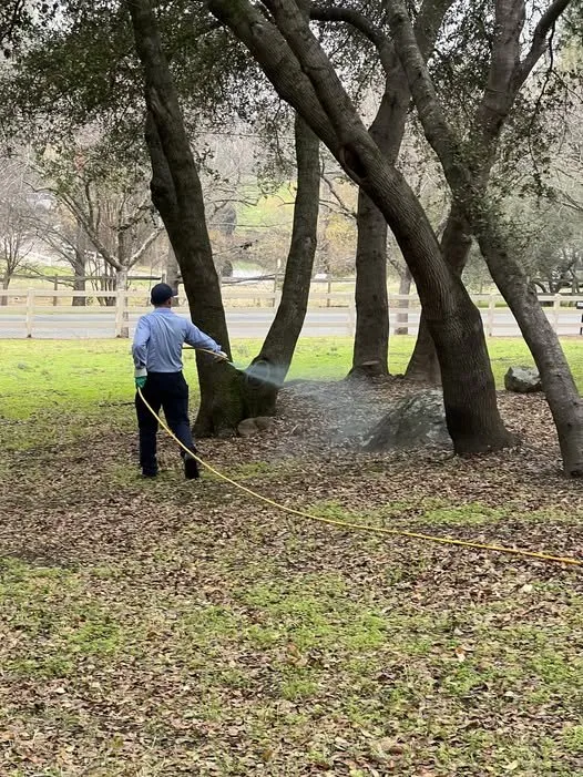 Affordable garden landscaping experts serving Loomis, CA - Defense Pest Control