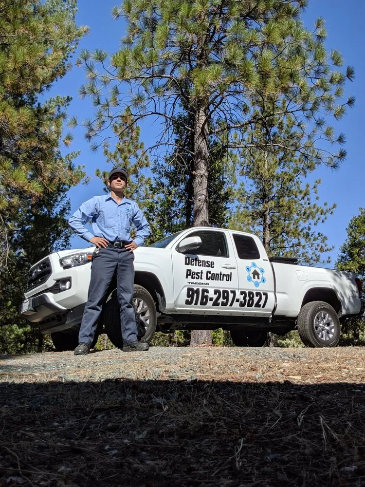 Affordable yard maintenance for beautiful yards in Loomis, CA by Defense Pest Control