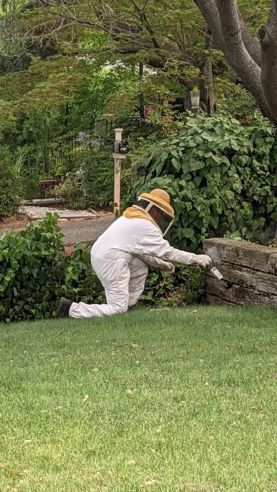 Expert landscape design experts serving Loomis, CA - Defense Pest Control