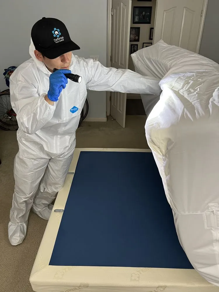 Local residential landscaping for residential properties across Loomis, CA - Defense Pest Control